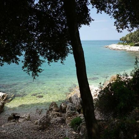 Guesthouse Galeb Врсар Экстерьер фото